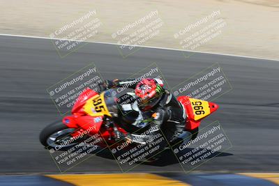 media/Feb-04-2023-SoCal Trackdays (Sat) [[8a776bf2c3]]/Turn 6 Inside (1025am)/